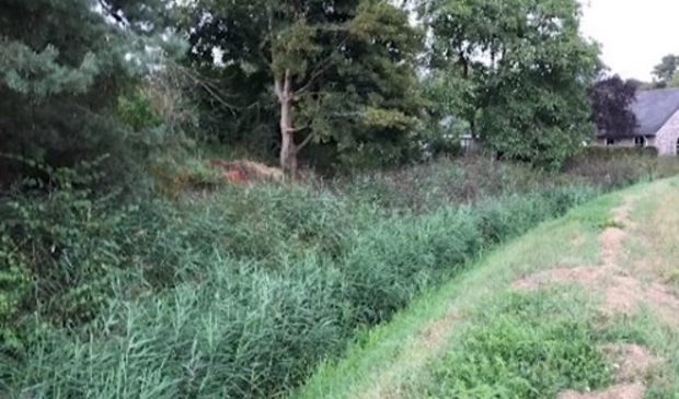 De Tielebeek in Milsbeek wordt onder handen genomen