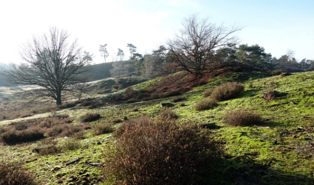 Putjesberg