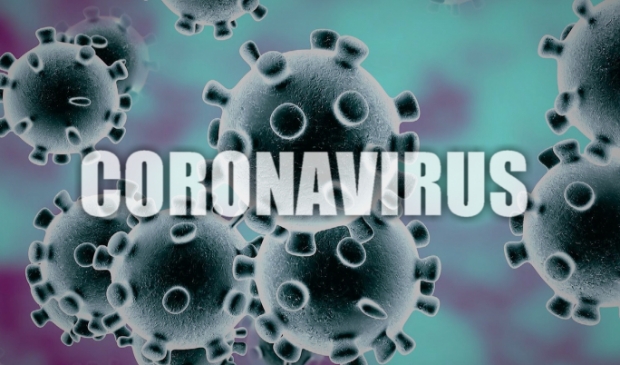 <p>In de Maasduinen lijkt het virus nog redelijk onder controle</p>