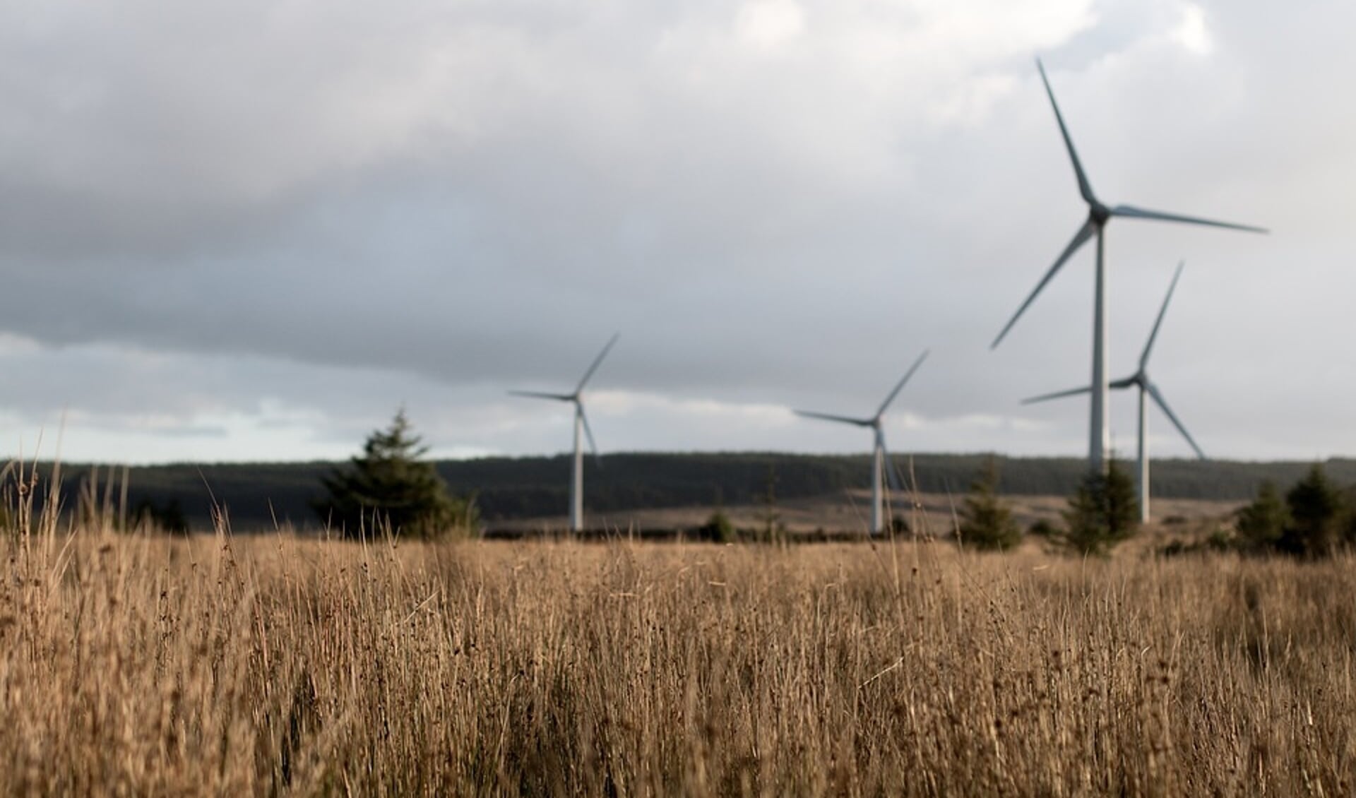 CDA: verleng verkenningsonderzoek naar een windmolenpark in Venray. 