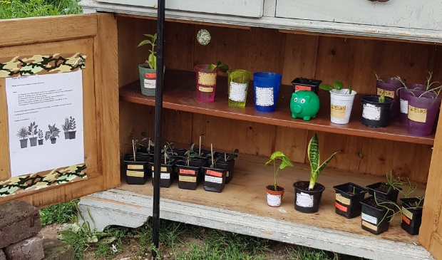 <p>Als het kastje aan de weg staat is de plantenbieb geopend</p>
