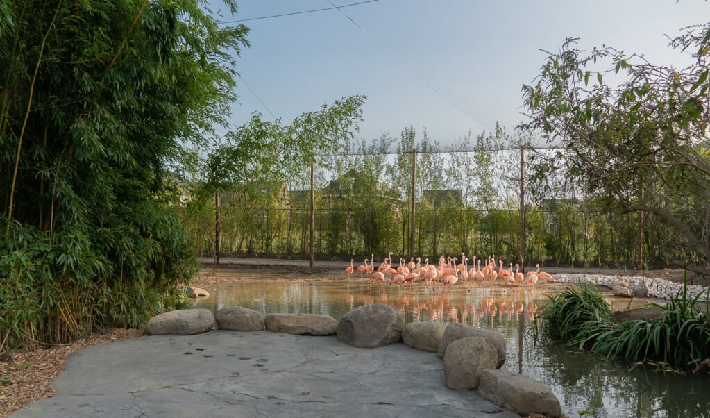Madidi, het nieuwe expeditiedeel in ZooParc Overloon.