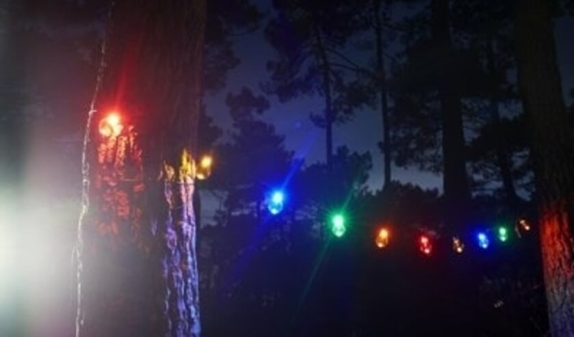 <p>De politie heeft zaterdagavond een illegaal feest in Wanssum stopgezet. </p>