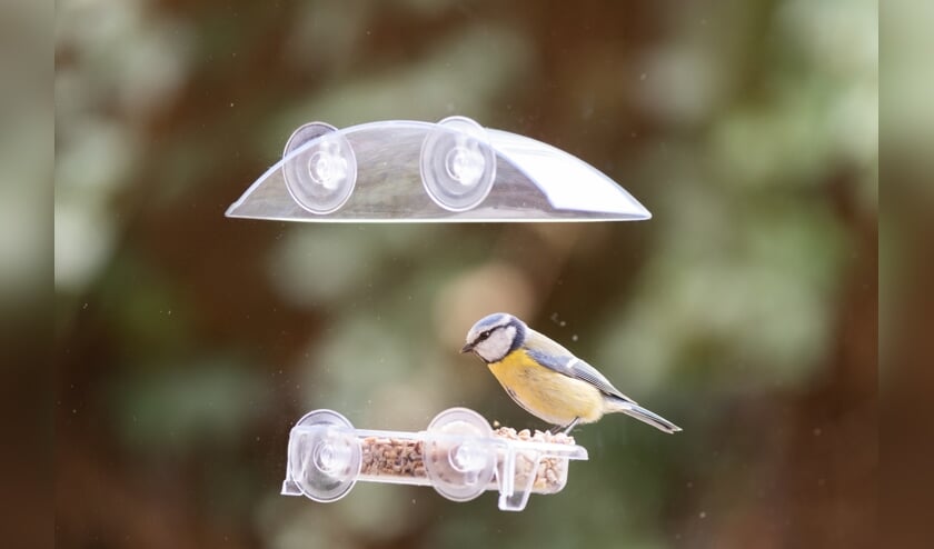 <p>Hoe meer verschillende soorten voer, hoe meer verschillende soorten vogels. </p>