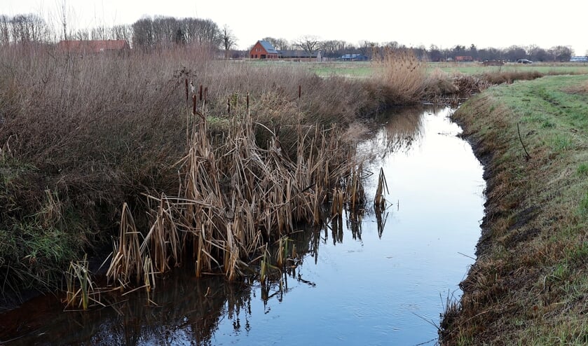 <p>De meanderende Loobeek bij Merselo. </p>