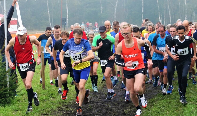 <p>De start van de goed bezette loop over 9600 meter.</p>