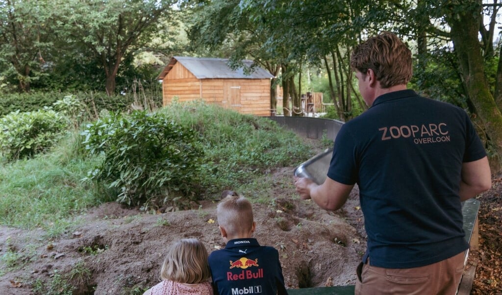 Het team van vrijwilligers van Stichting Wildlife zoekt versterking. 