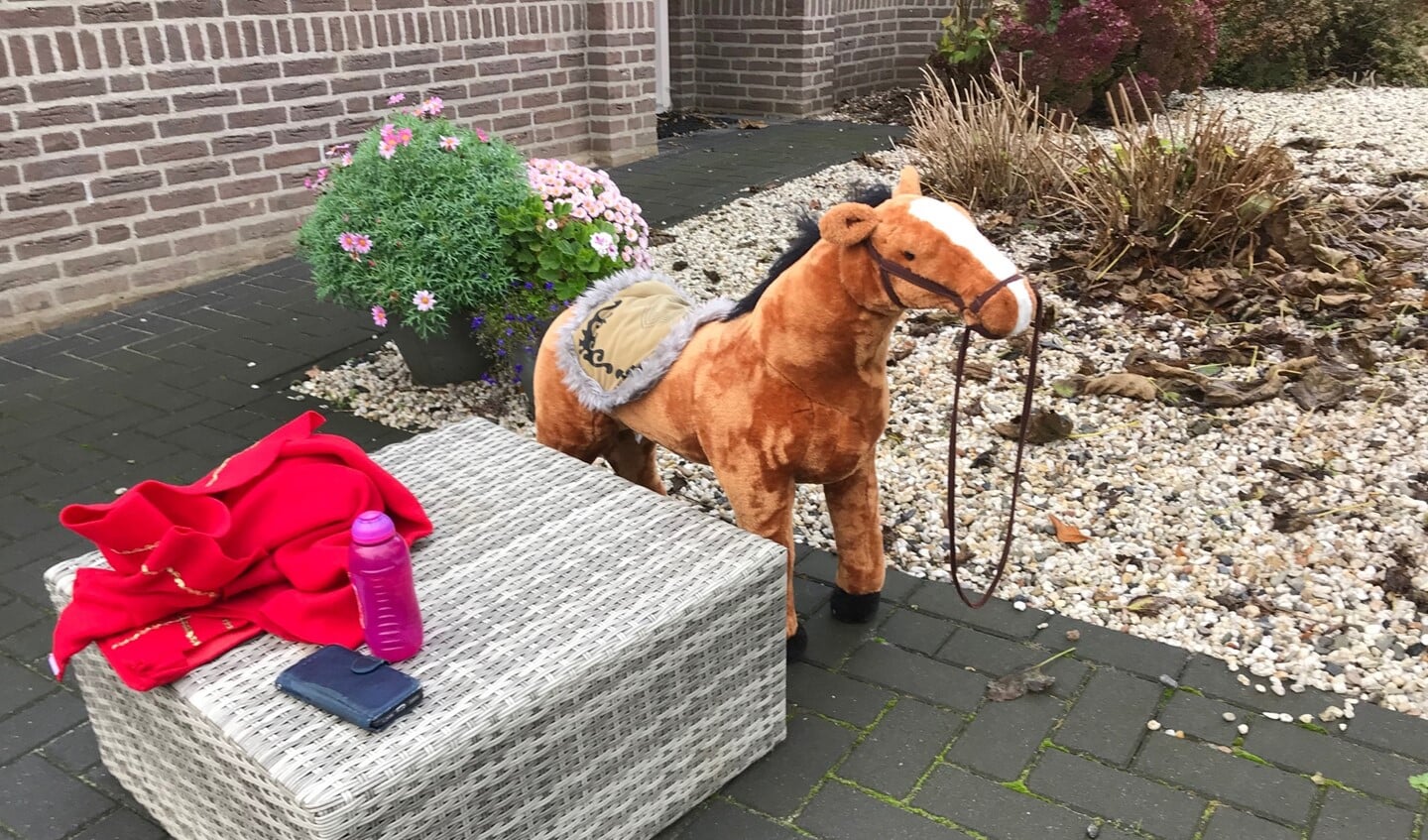 Er staat een paard in de tuin....