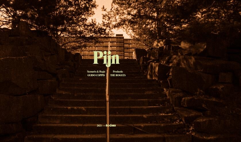 <p>Pijn wordt de eerste speelfilm van Guido Coppis uit Venray. </p>