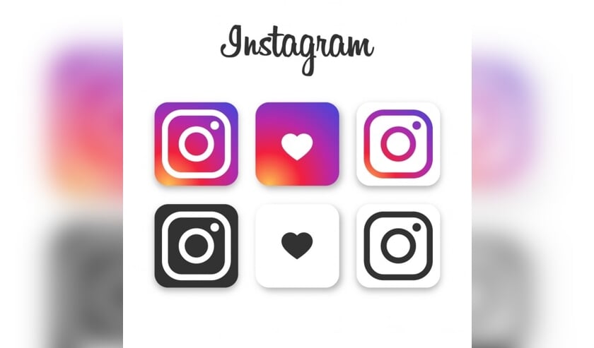 <p>'Politiek via Instagram leuk, makkelijk en interessant maken voor jongeren'. </p>