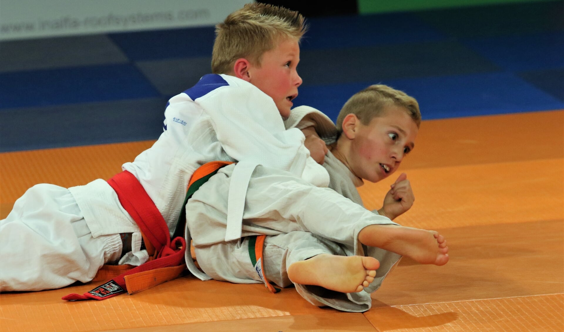 Judoclub Venray maakt zich op voor haar internationale toernooi, komend weekend in De Wetteling. 