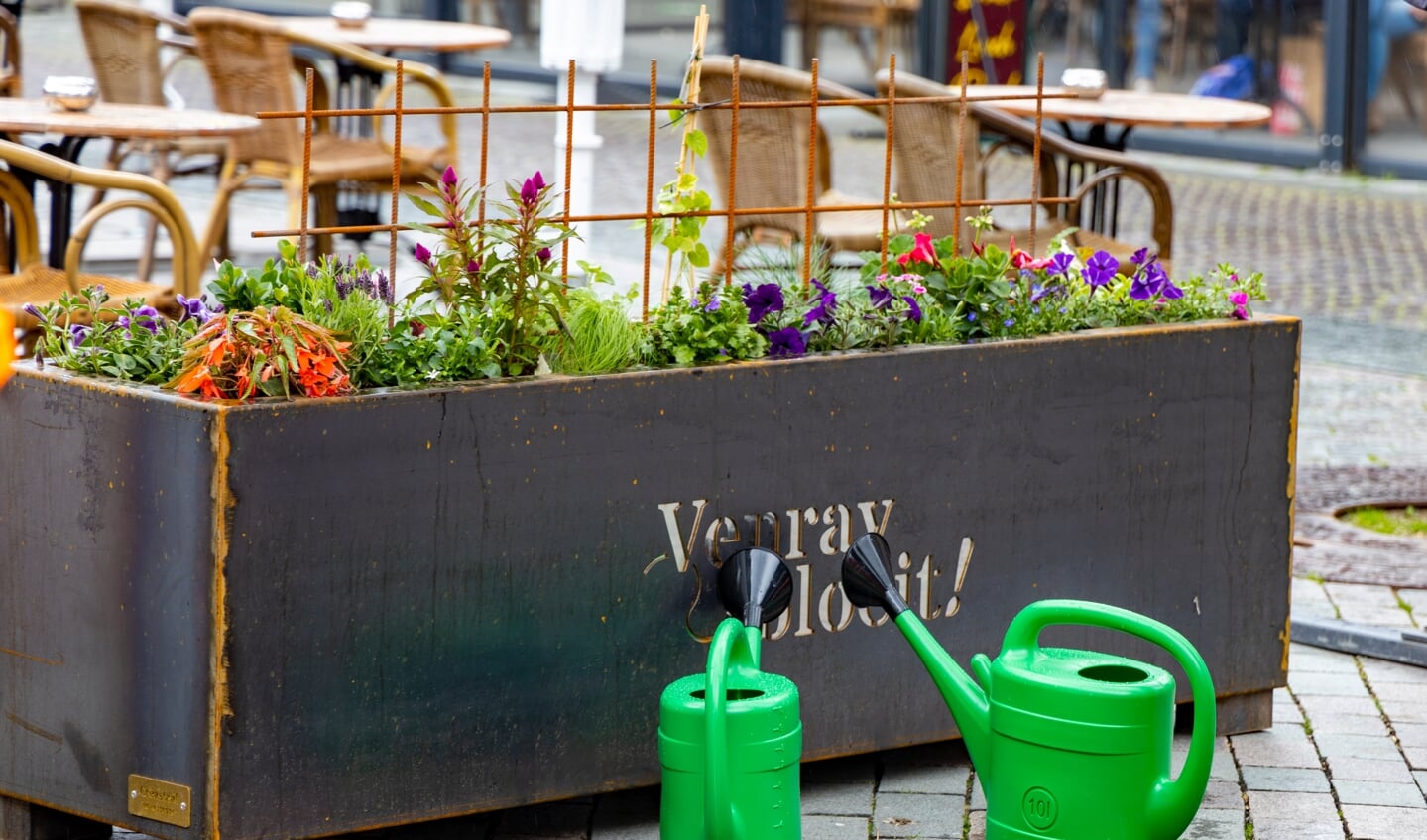 De Venray Bloeit-bloembakken, waarvan er in het centrum dertig staan, werden mei vorig jaar, gepresenteerd. 