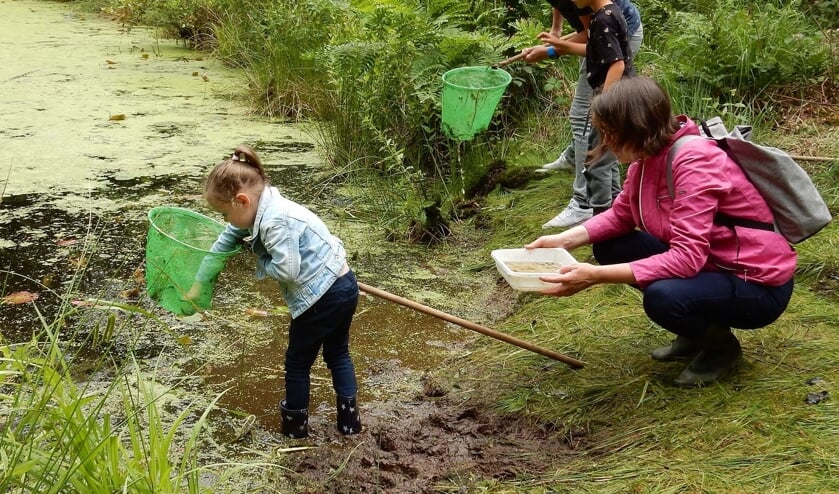 <p>Slootjes zijn belangrijk voor het watermanagement en de biodiversiteit in Nederland. </p>