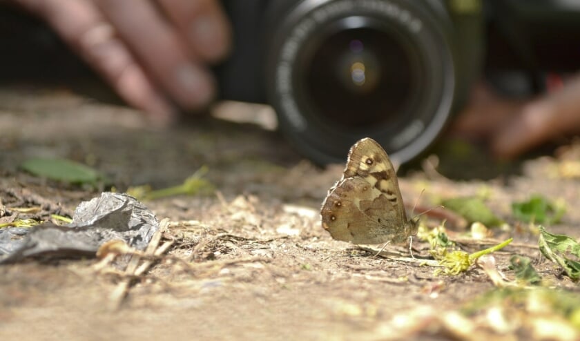<p>IVN Geijsteren-Venray houdt op zaterdag 26 juni een workshop fotografie.</p>