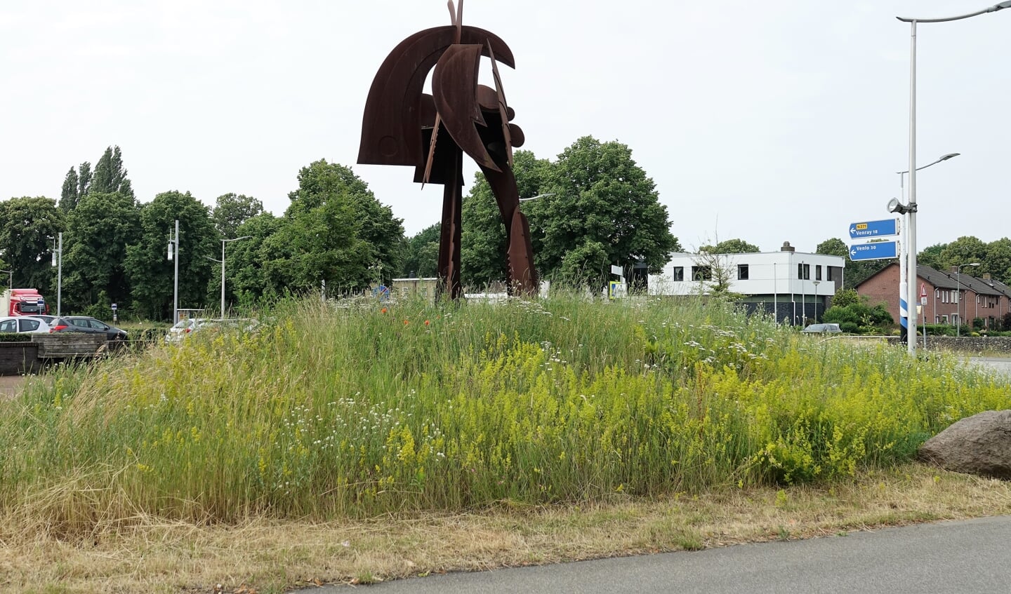 De begroeiing van de ovonde doorn in het oog