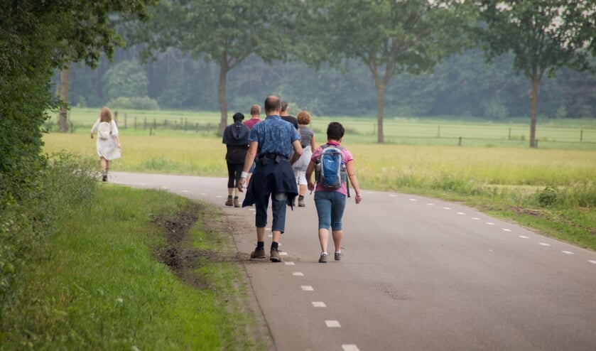 <p>Vanaf deze maand zet het Meerdaags Wandelevenement Venray maandelijks een wandeltrainingstocht op touw. </p>