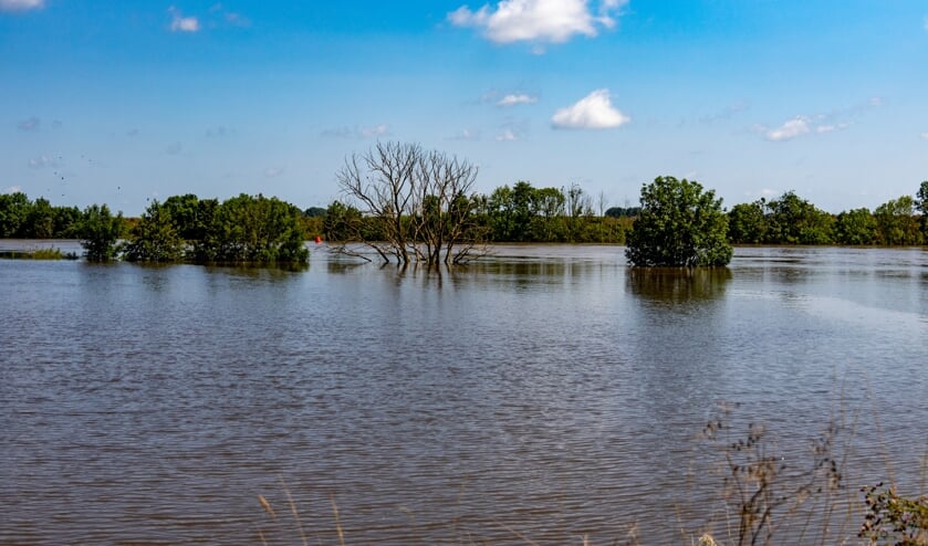 <p>Hoogwater in de gemeente Venray. </p>