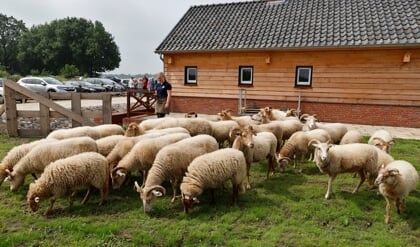 Afbeelding