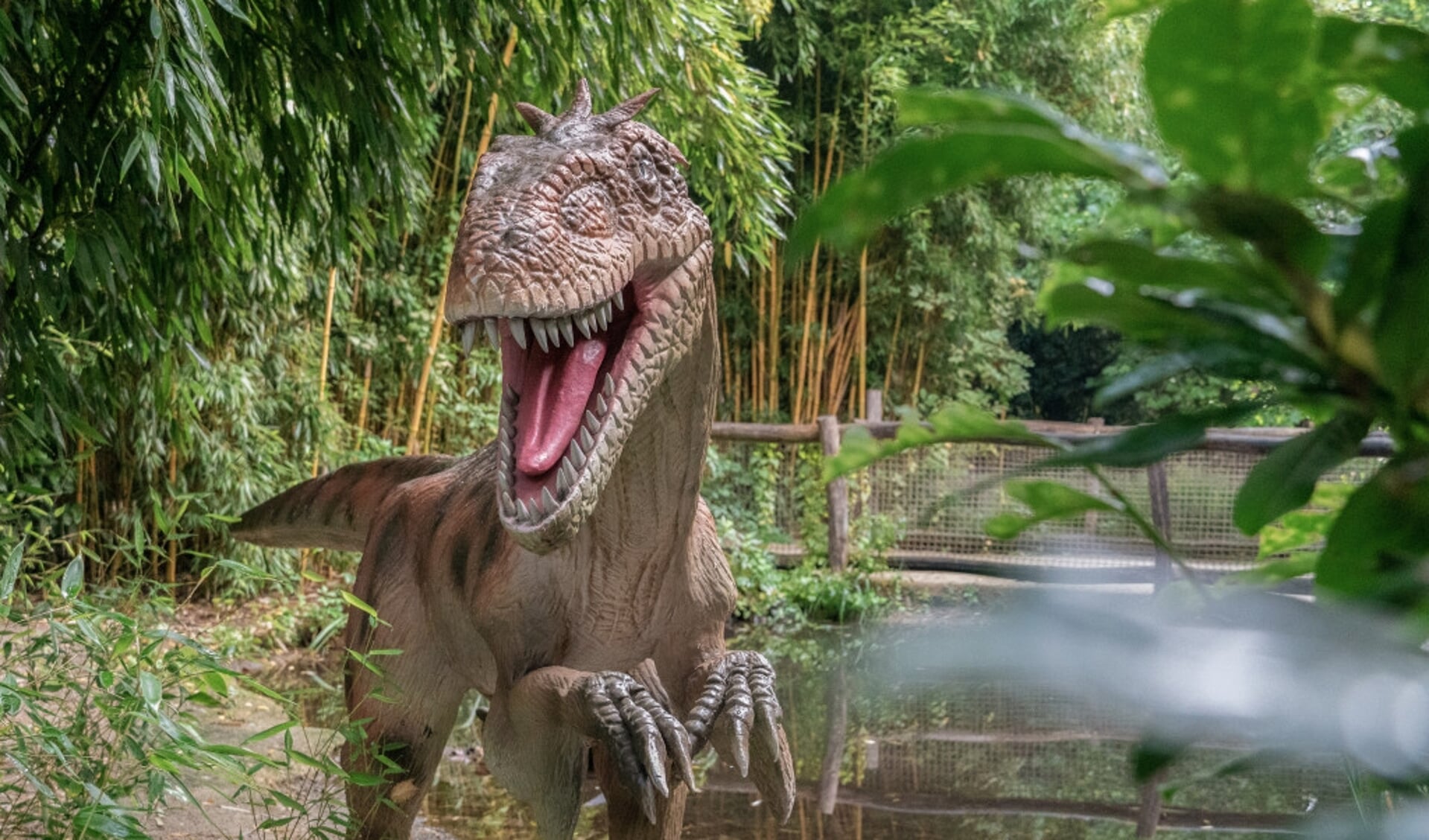 Genieten van dinosaurussen in ZooParc Overloon.
