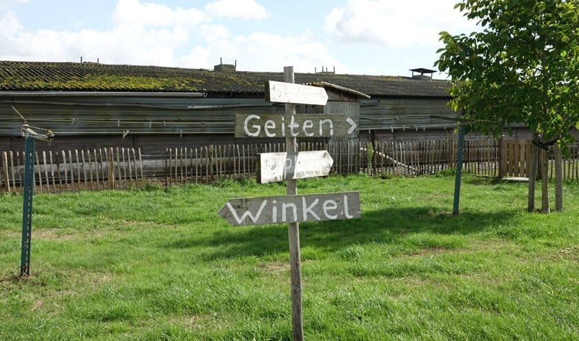 Afbeelding