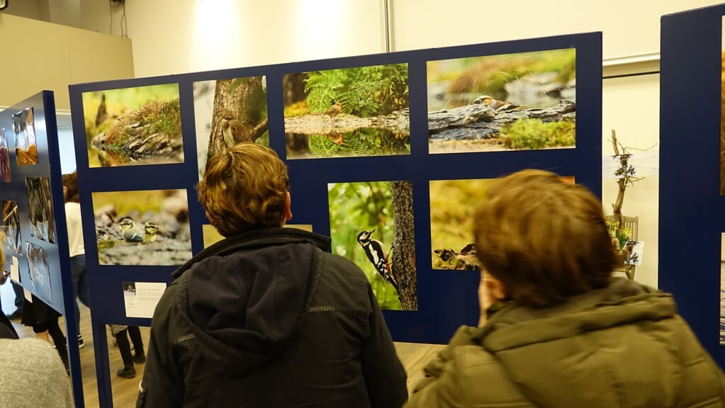 Fotoclub Wellgefocust Organiseert Jaarlijkse Expositie ...