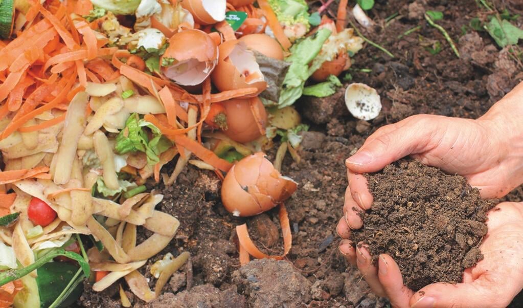 Compost wordt ook wel het zwarte goud voor de tuin genoemd.