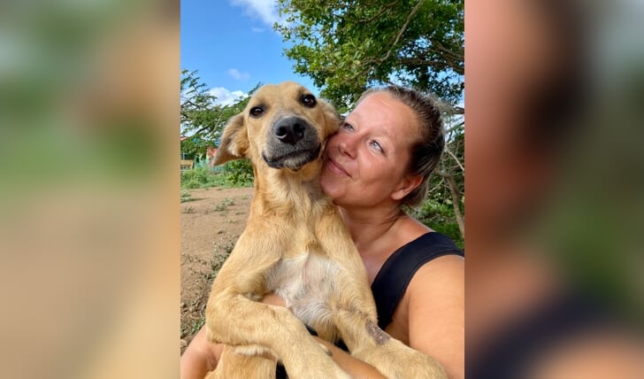Wendy Voermans zet zich in voor de verwaarloosde honden op Curaçao. 