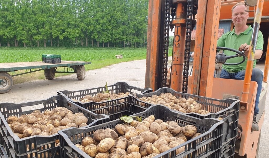 Gérard Timmermans rijdt de eerste nieuwe aardappelen naar de boerderijwinkel. 