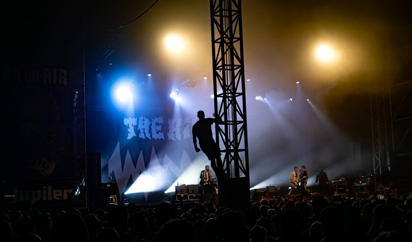 The Hives