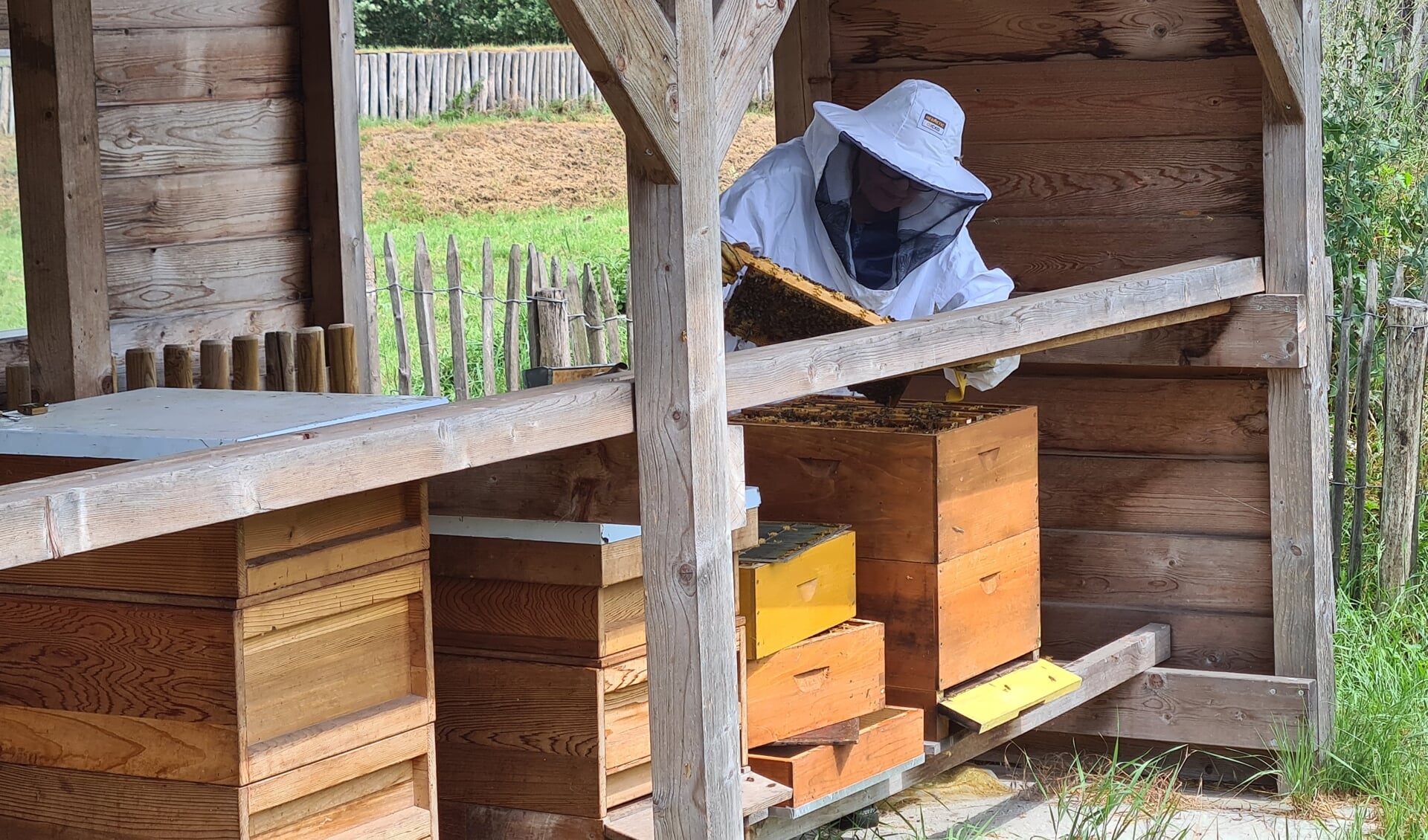 Een imker aan het werk in de bijenstal in de Weverslose Boerenschans.