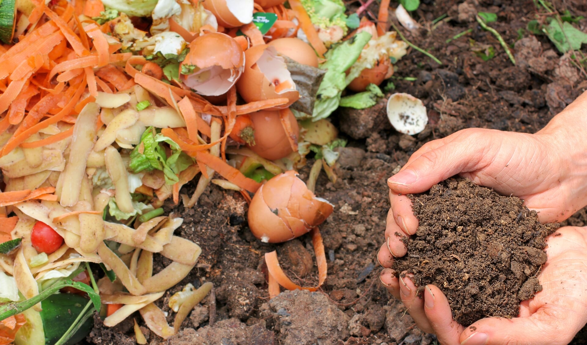Handen met compost, foto ter illustratie. 