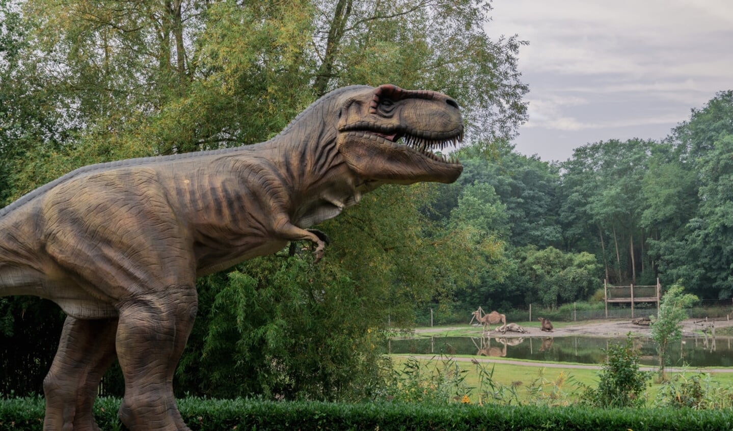 Reusachtige dinosaurussen, tussen 30 september en 13 november,  in ZooParc Overloon.