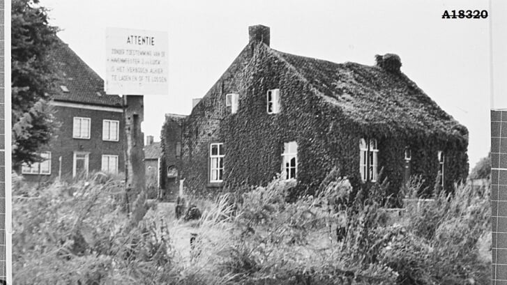 Afbeelding