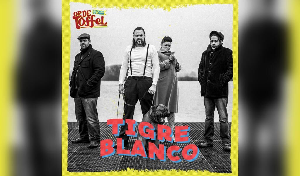 Ook de band Tigre Blanco komt naar het muziekfestival Op de Toffel 