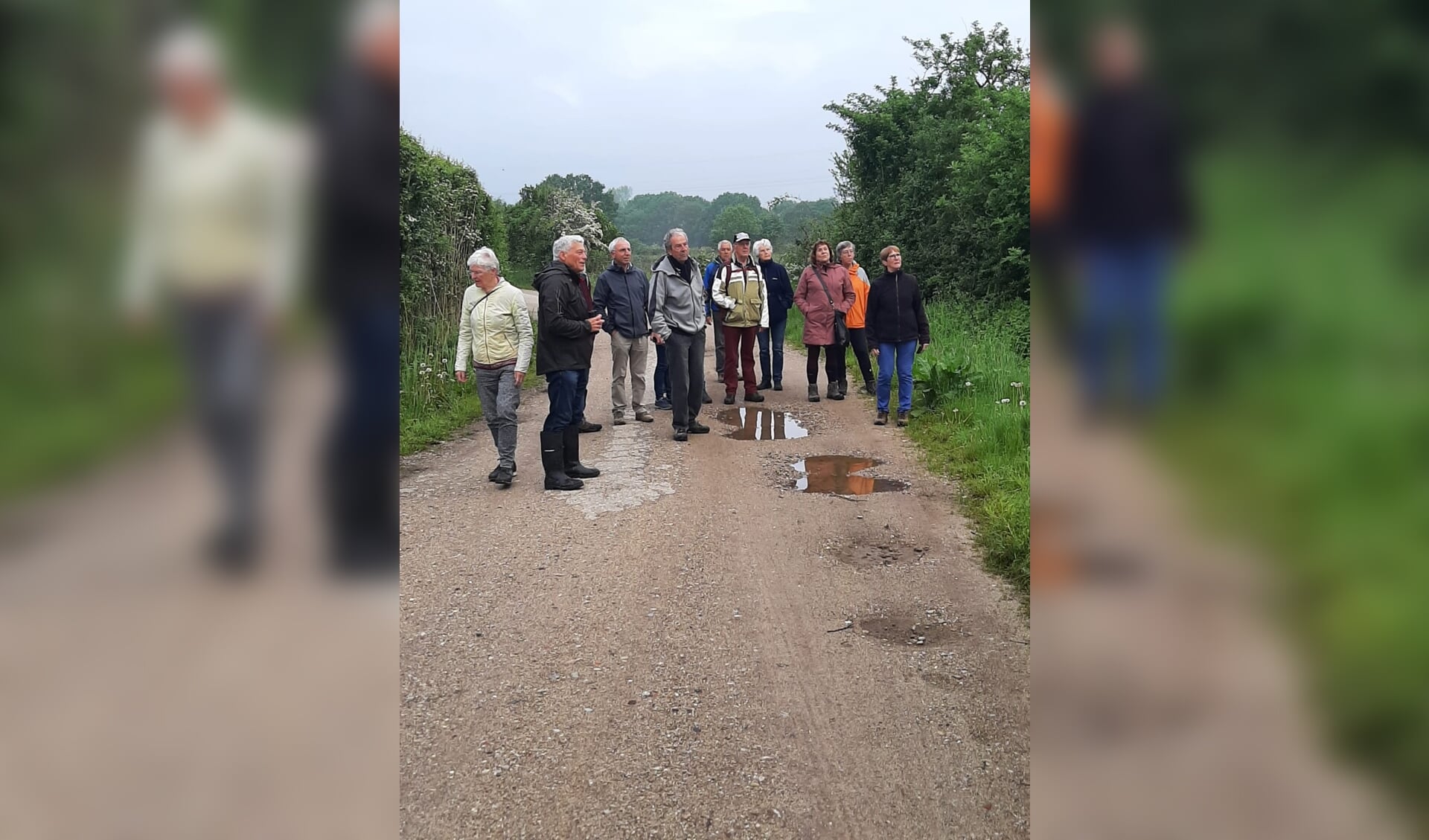 Vijftien wandelaars van KBO Vierlingsbeek-Groeningen genieten van de Maasheggen bij Oeffelt. 
