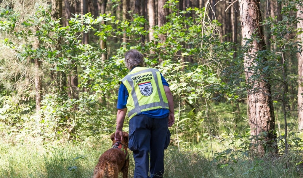 Met speurhonden wordt gezocht in de bossen van Overloon.