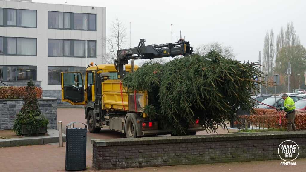 Kerstboom Bergen 2020