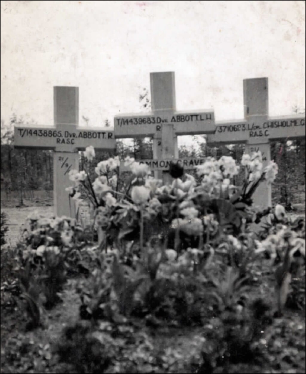 De eerste graven van Roy Abbott, Lionel Abbott en George Chisholme op de Overloon War Cemetery (1947).