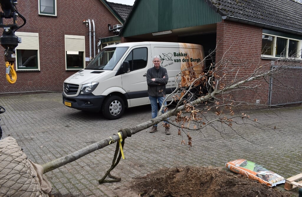 Bakker van den Bergh gelukkig met zijn nieuwe boom
