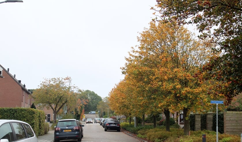 De Ruijgrockstraat, die men flink wil aanpakken.