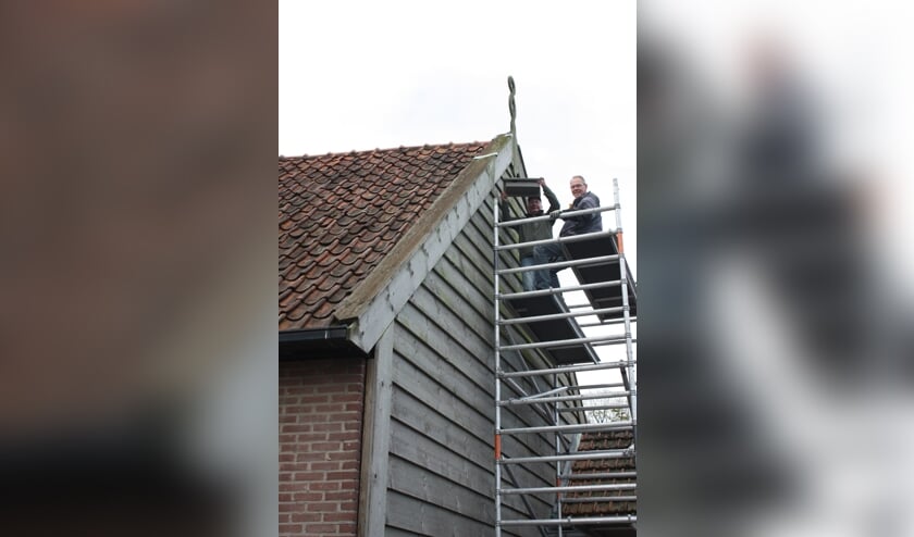 Vrijwilligers van de NLGO hangen een nestkast op aan de Wurft.