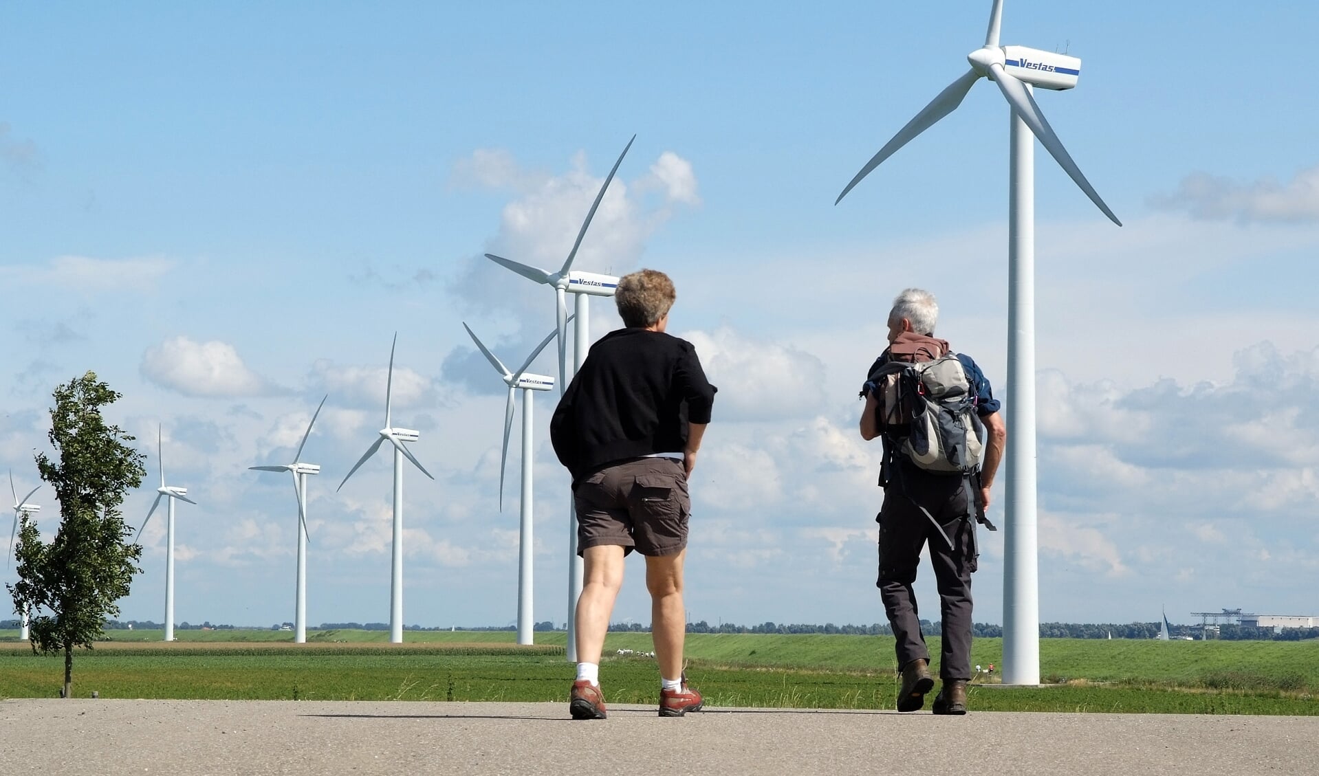 De rechter buigt zich over het plan om de 12 windmolens tussen Paviljoen Sluishaven en Ooltgensplaat te vervangen door 7 grotere windmolens die verder bij het water vandaan staan. 