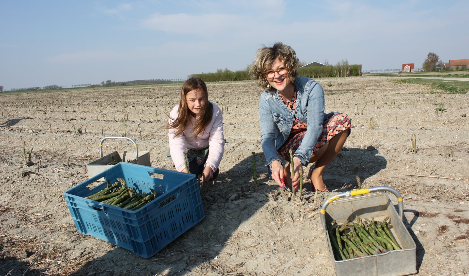 Burgemeester Ada Grootenboer snijdt de eerste asperges op donderdag 18 april, samen met een dochter van de aspergeboer.