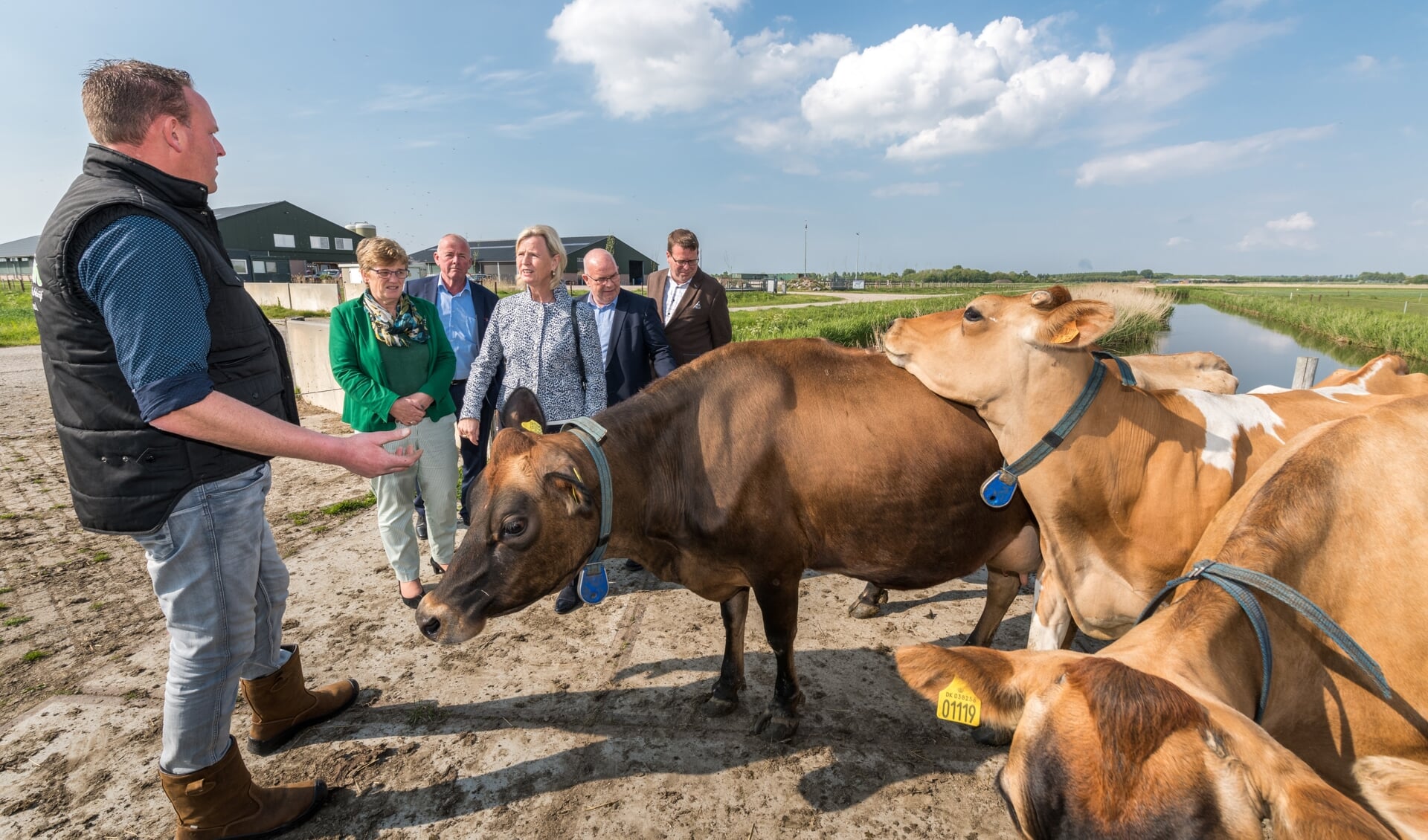 Piet Breen (bij zijn Jersey koeien) in gesprek met EU-parlementslid Annie Schreijer-Pierik en de gemeentelijke delegatie. Foto: Wim van Vossen