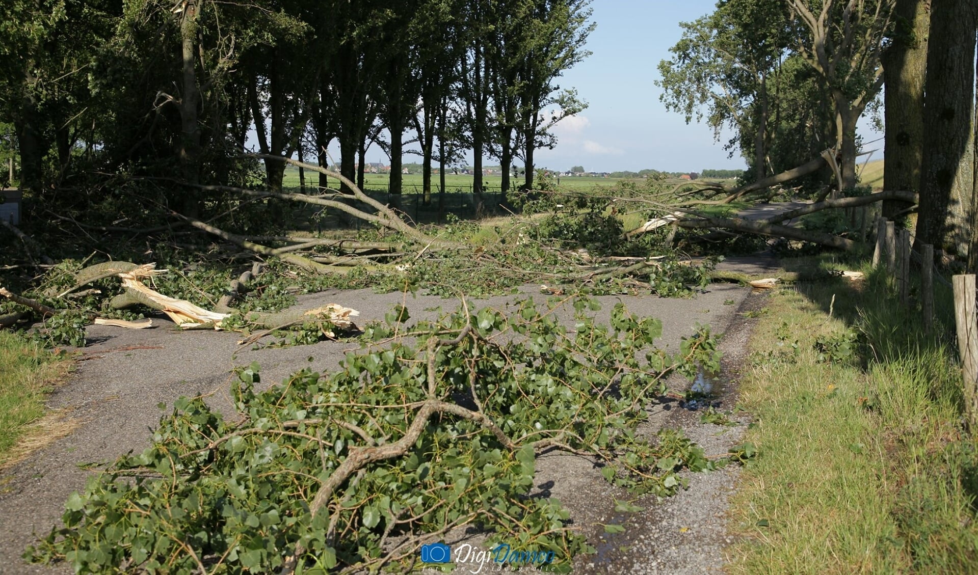 Afgewaaide takken versperren de weg in de omgeving van Oude-Tonge. Foto: Wilko van Dam