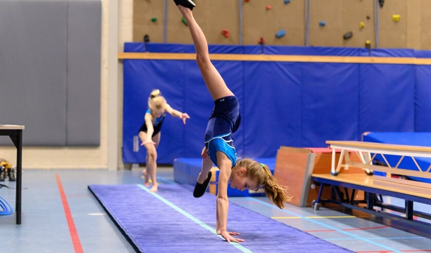 (Foto: Ellen van den Doel).