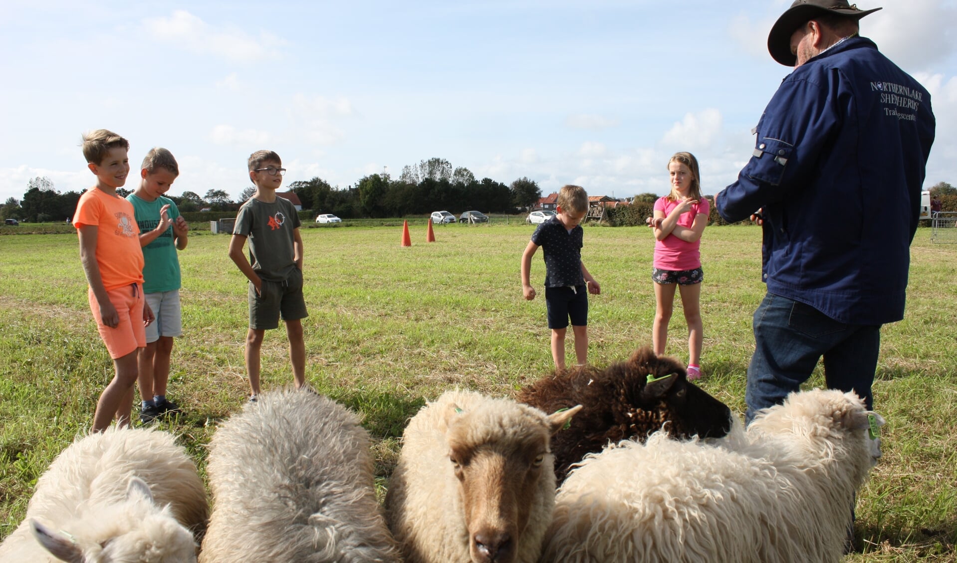 Enkele kinderen bekijken de schapen op Spreeuwenstein (Foto: Kees van Rixoort).