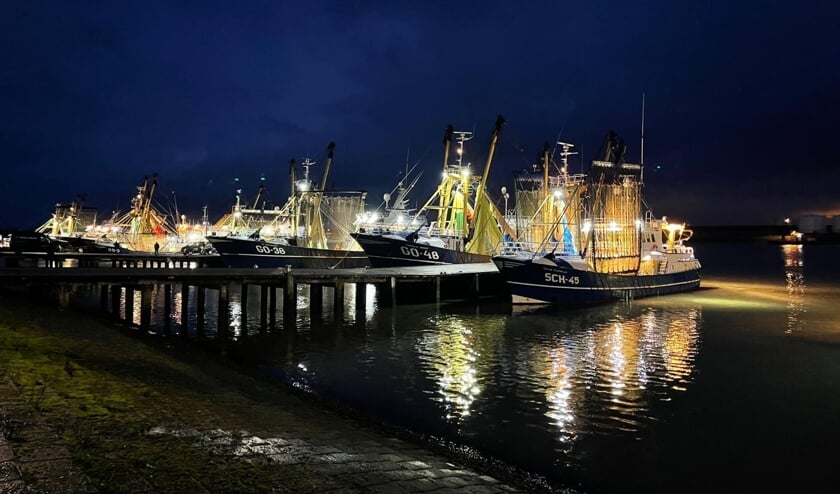 <p>(Foto: Dinant Struik). </p>