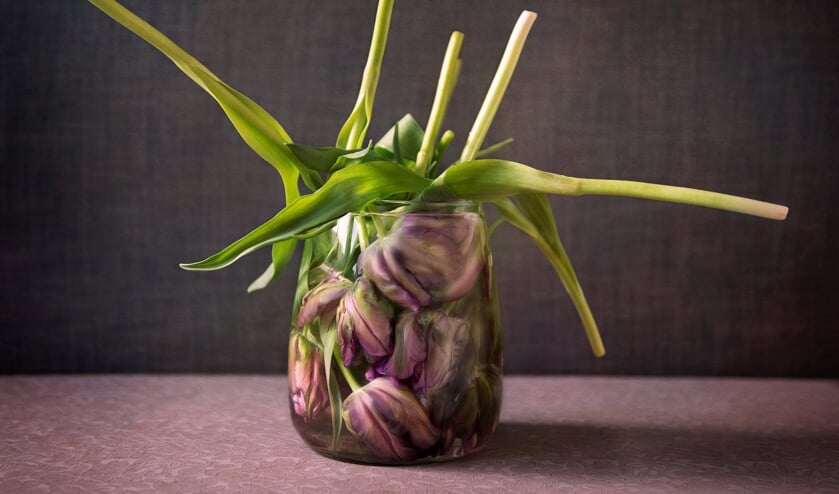 <p>De winnende foto van Magda Korthals in de categorie Kleur.</p>