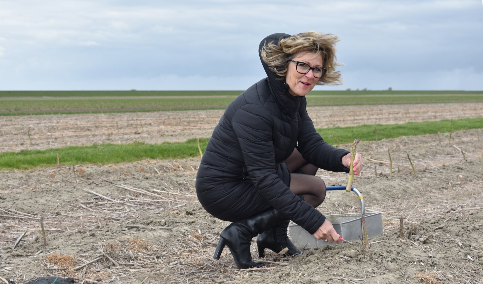 Burgemeester Grootenboer haalde traditiegetrouw de eerste asperge van het land (Foto: Gert Klok).